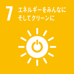 sdgsIcon