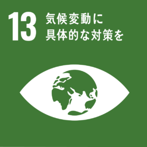 sdgsIcon
